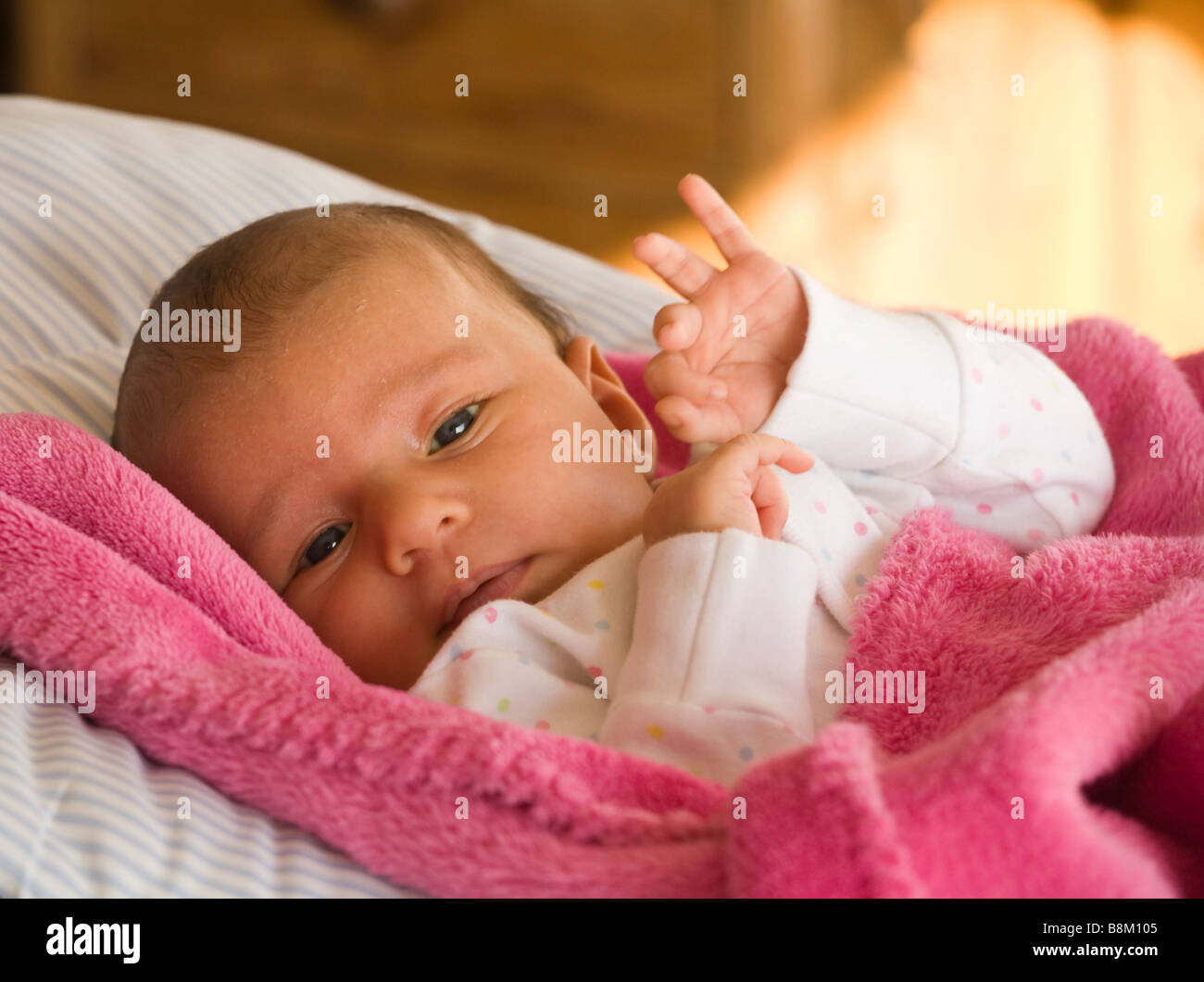 Cinque settimane vecchio Baby girl svegli Foto Stock