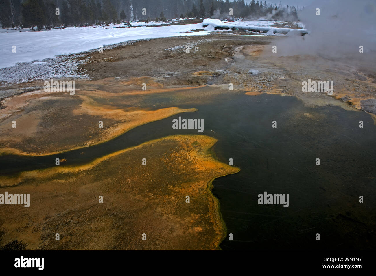 Geyser con modelli di alghe, Yellowstone USA Foto Stock