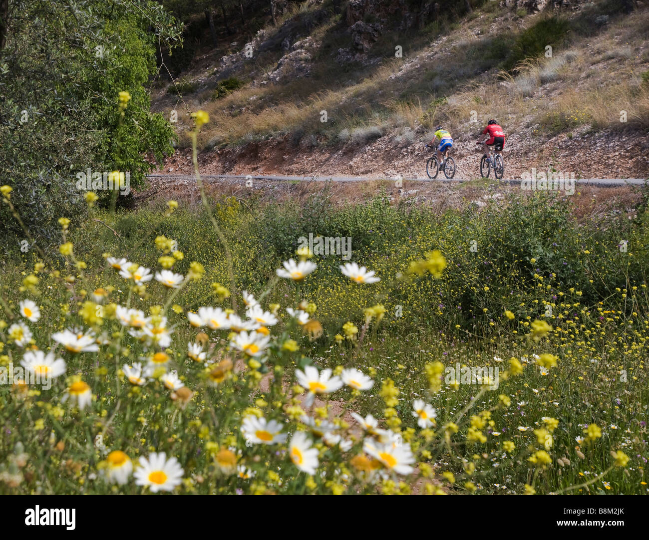 Vicino a Mijas Costa del Sol Malaga Provincia Spagna ciclisti su strada vuota nella primavera Foto Stock