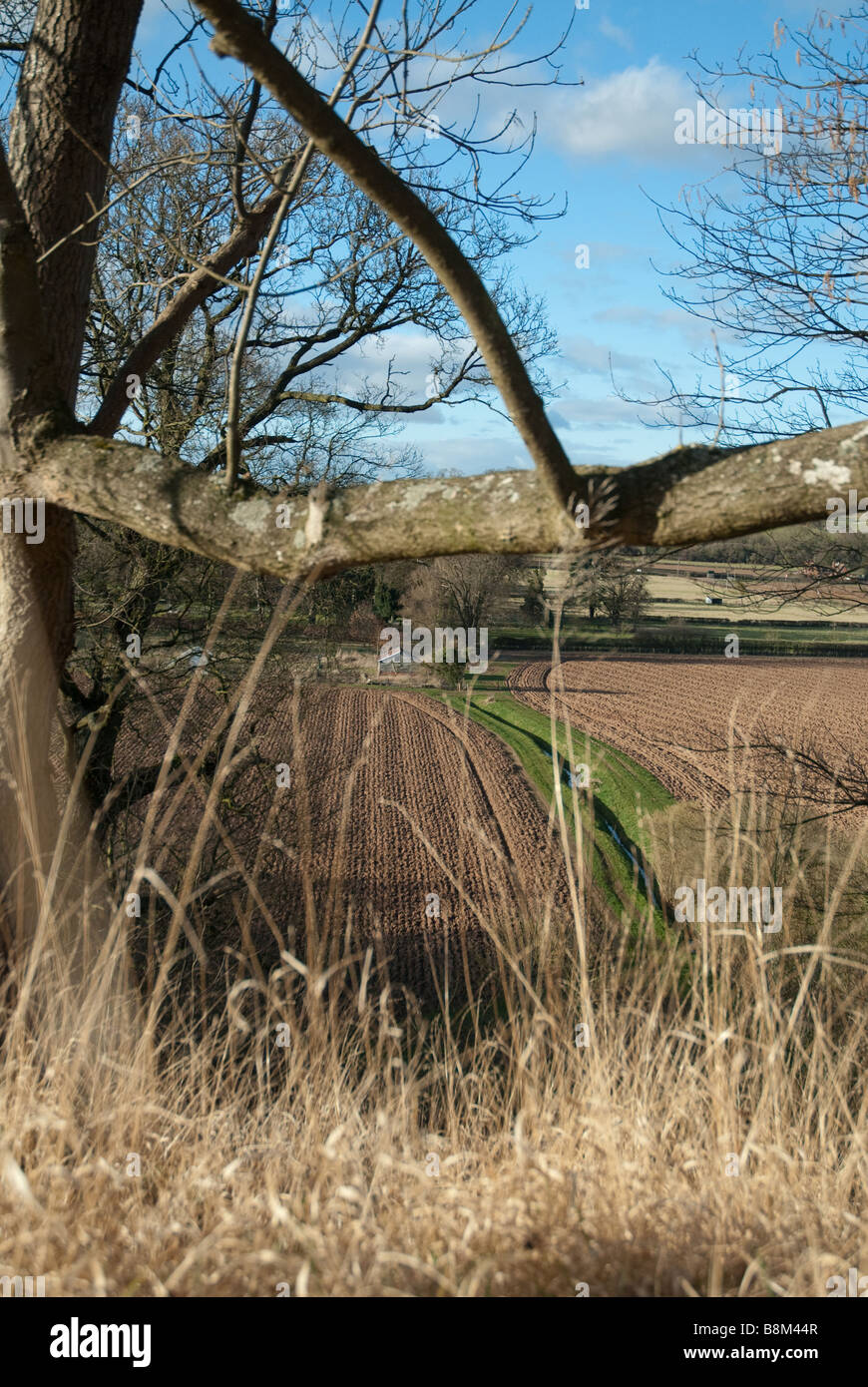 Vista della campagna guardando giù dalla collina Berrington nel sole di primavera, Tenbury Wells Foto Stock