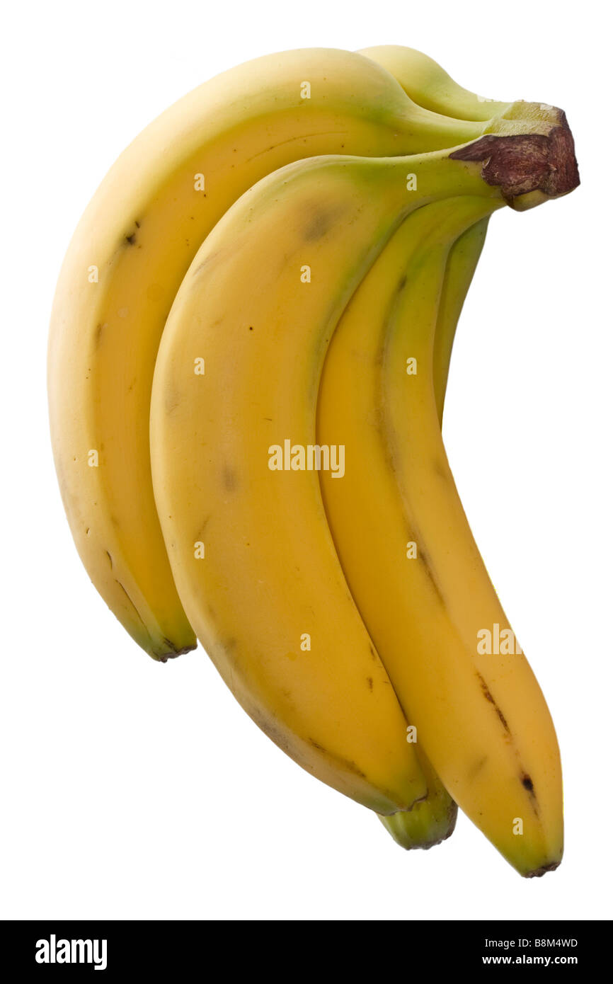 Un mazzetto di cinque banane su sfondo bianco Foto Stock
