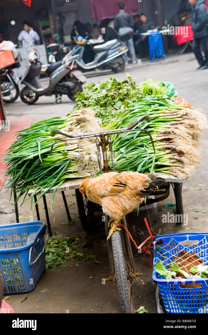 Scene di mercato in Cina. Foto Stock