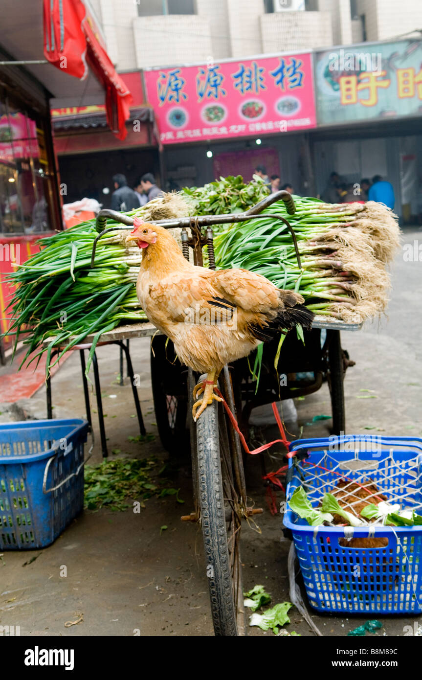 Scene di mercato in Cina. Foto Stock