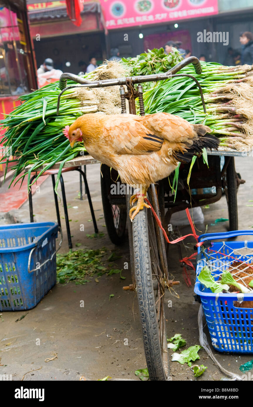 Scene di mercato in Cina. Foto Stock