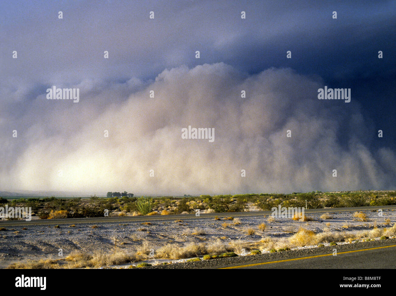 Enorme tempesta di polvere rotoli attraverso il deserto dell'Arizona vicino a Yuma, Stati Uniti d'America comunemente chiamato haboob. Foto Stock