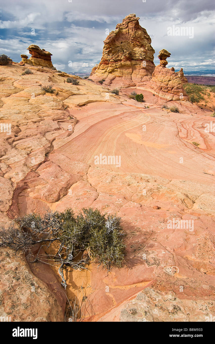 Stati Uniti d'America, Arizona, Vermillion Cliffs National Monument. Colorate formazioni di pietra arenaria in Sud Coyote Buttes. Foto Stock