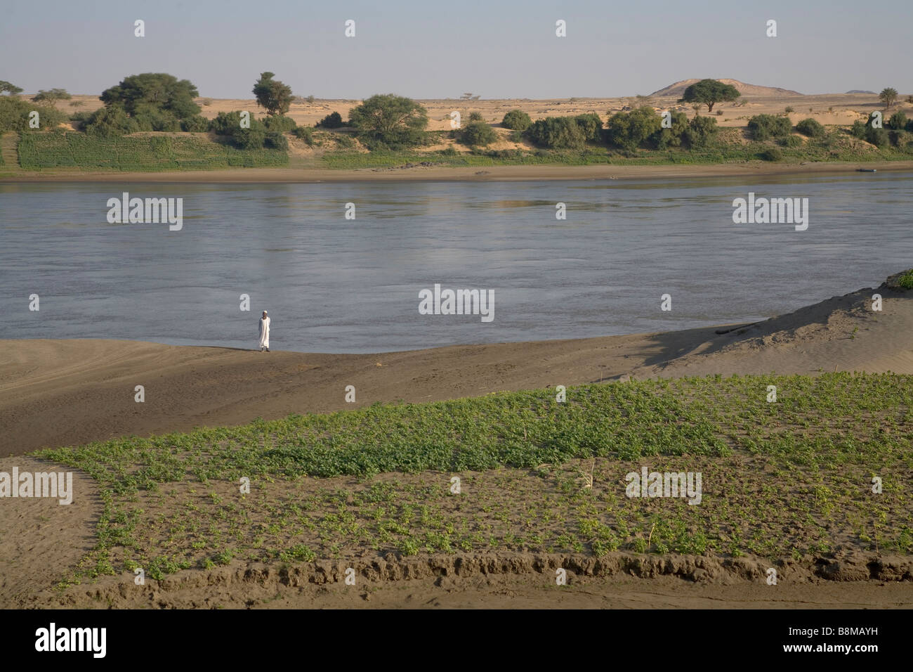 Fiume nilo immagini e fotografie stock ad alta risoluzione - Alamy
