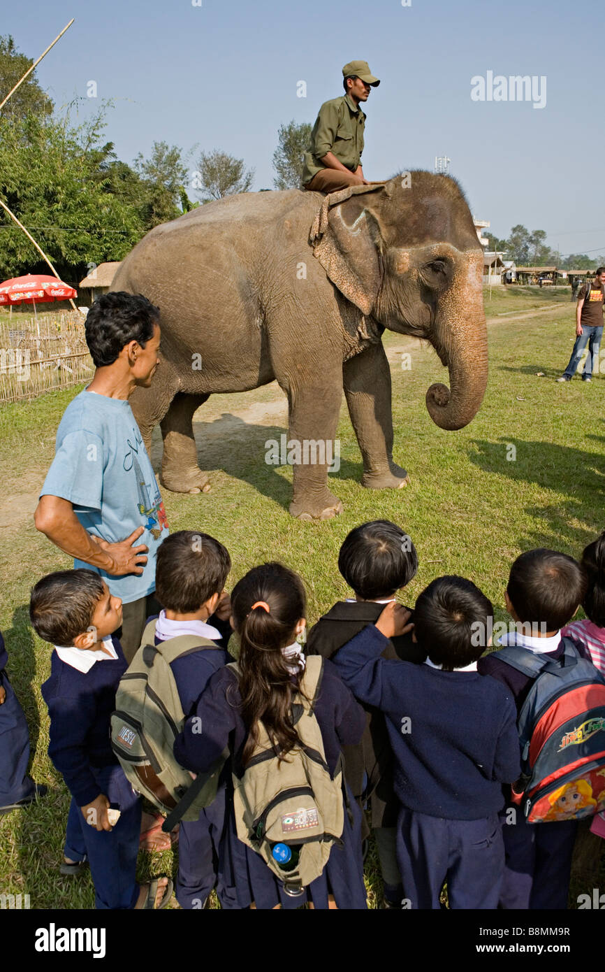 Ragazzi nepalesi in escursione visitando elefante nel Parco nazionale di Royal Chitwan Nepal Foto Stock