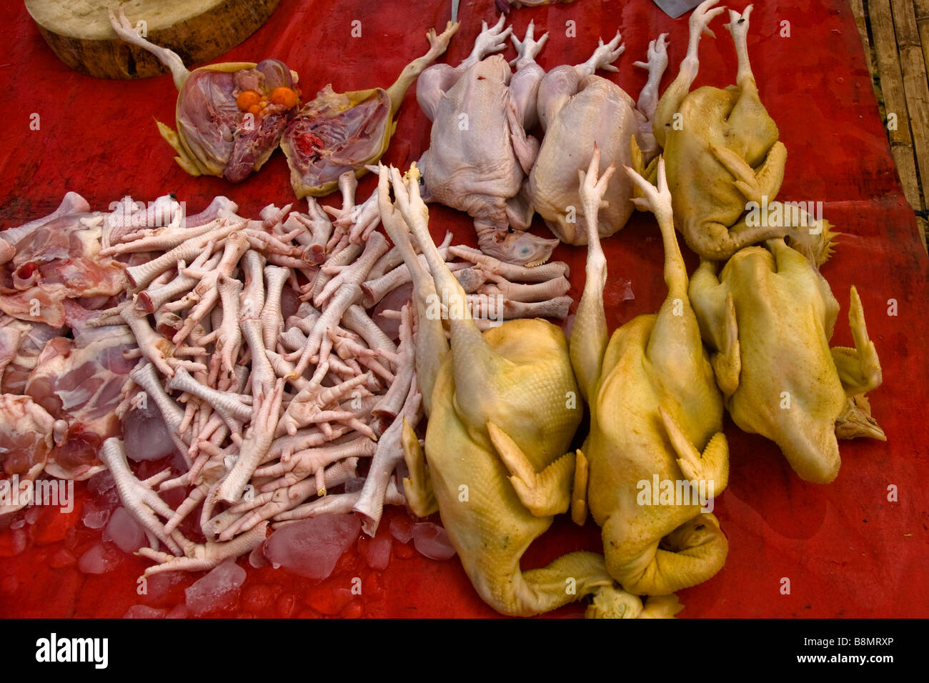 Pollo per la vendita su un mercato tailandese Foto Stock