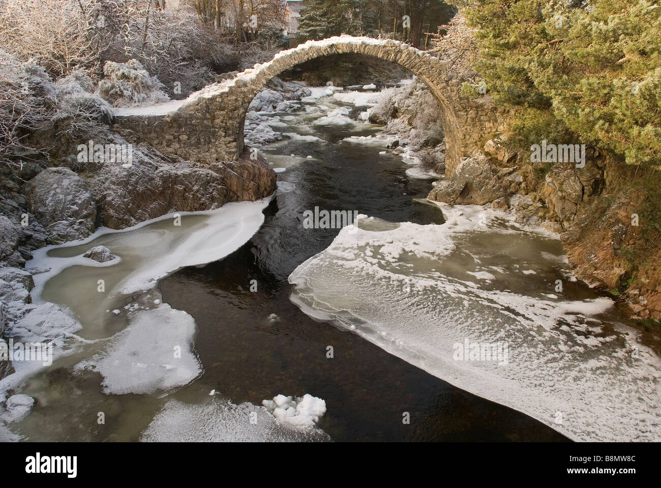 Packhorse Bridge, Carrbridge, Speyside, Scozia Foto Stock