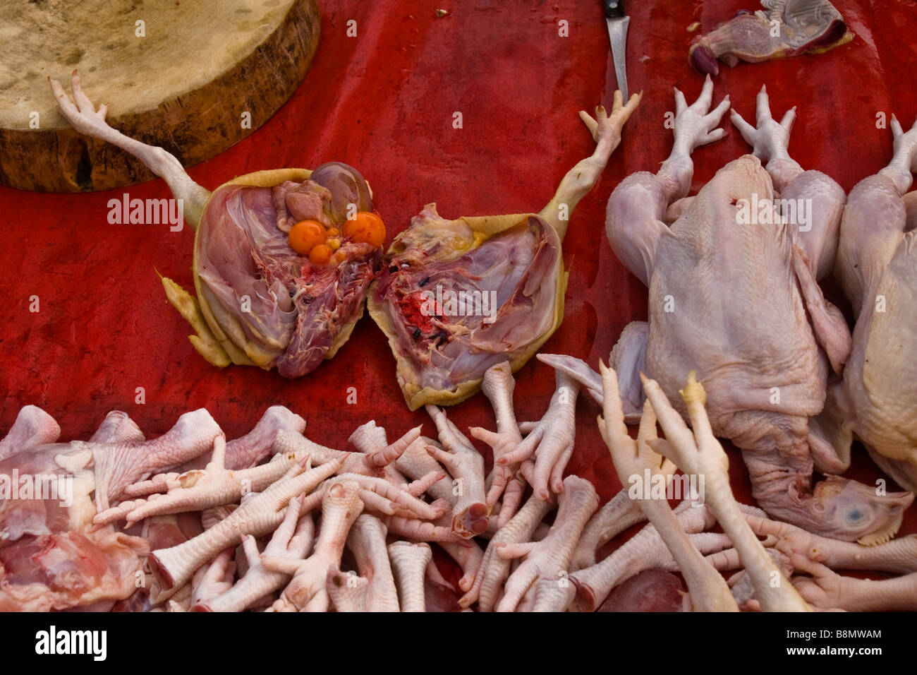 Pollo per la vendita su un mercato tailandese Foto Stock