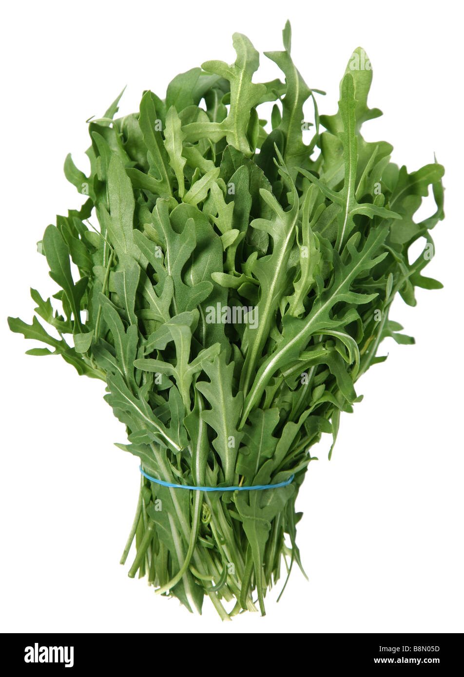 La rucola fresca foglia heap su sfondi bianchi Foto Stock