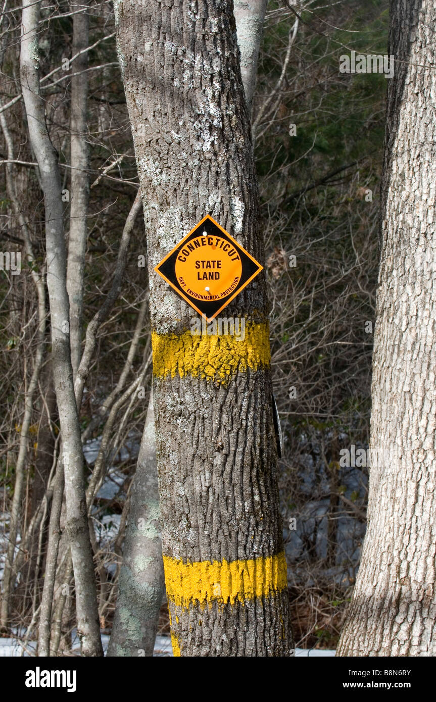 Marcatura di segno stae forest preserve nel Connecticutt. Foto Stock