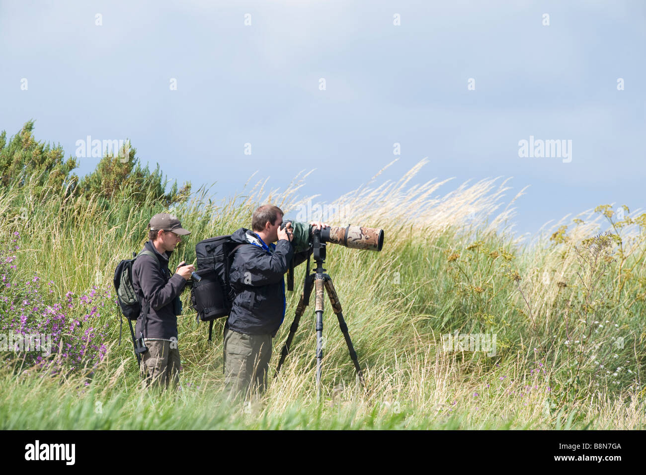 I fotografi di uccelli a Titchwell RSPB Riserva Norfolk luglio inediti Foto Stock