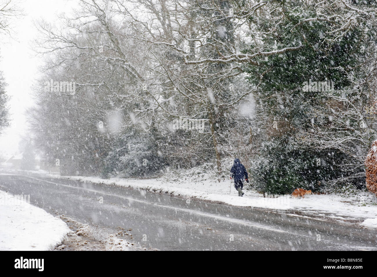 Persona che cammina al fianco di un Buckinghamshire strada attraverso la caduta di neve e una bufera di neve. Foto Stock