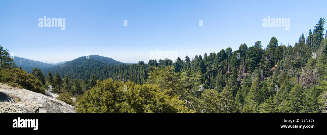 Kings Canyon National Park Panorama, California USA Foto Stock