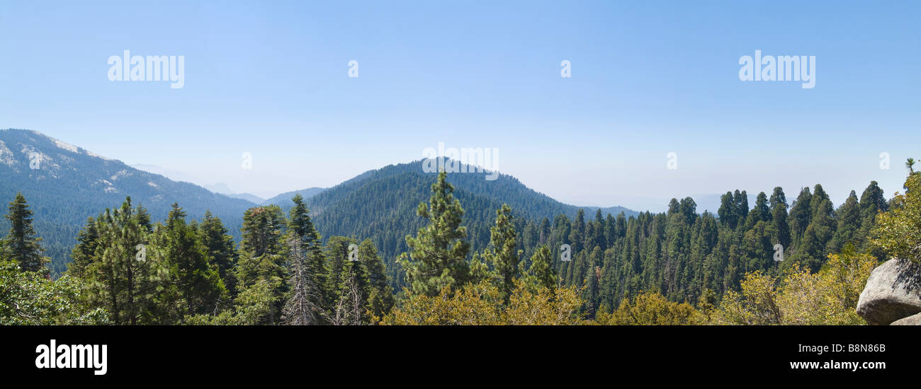 Kings Canyon National Park Panorama, California USA Foto Stock