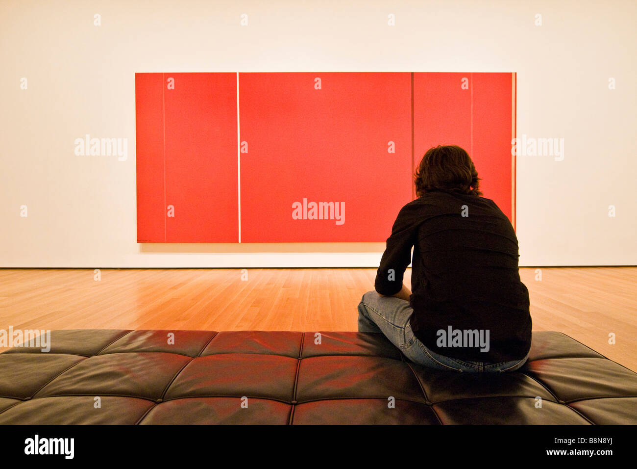 Visitatore la visualizzazione di una mostra presso il Museo di arte moderna Foto Stock