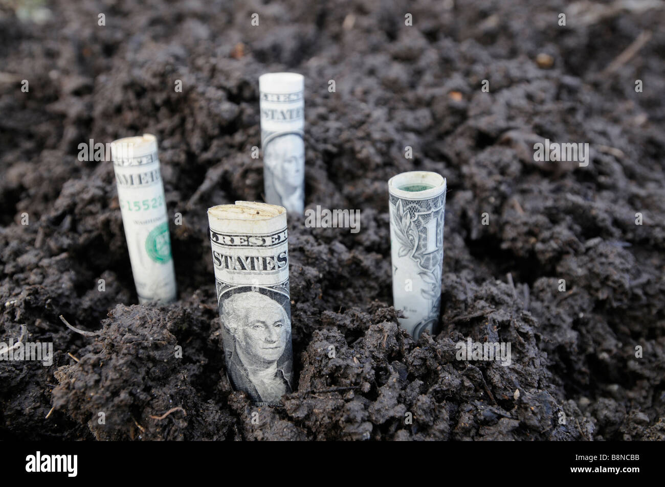 Quattro 1 fatture del dollaro nel suolo Foto Stock