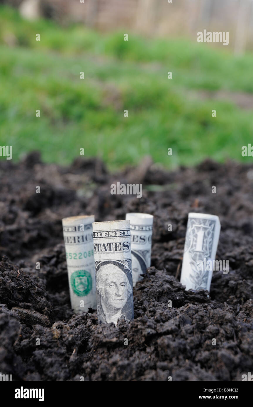 Quattro 1 fatture del dollaro nel suolo Foto Stock