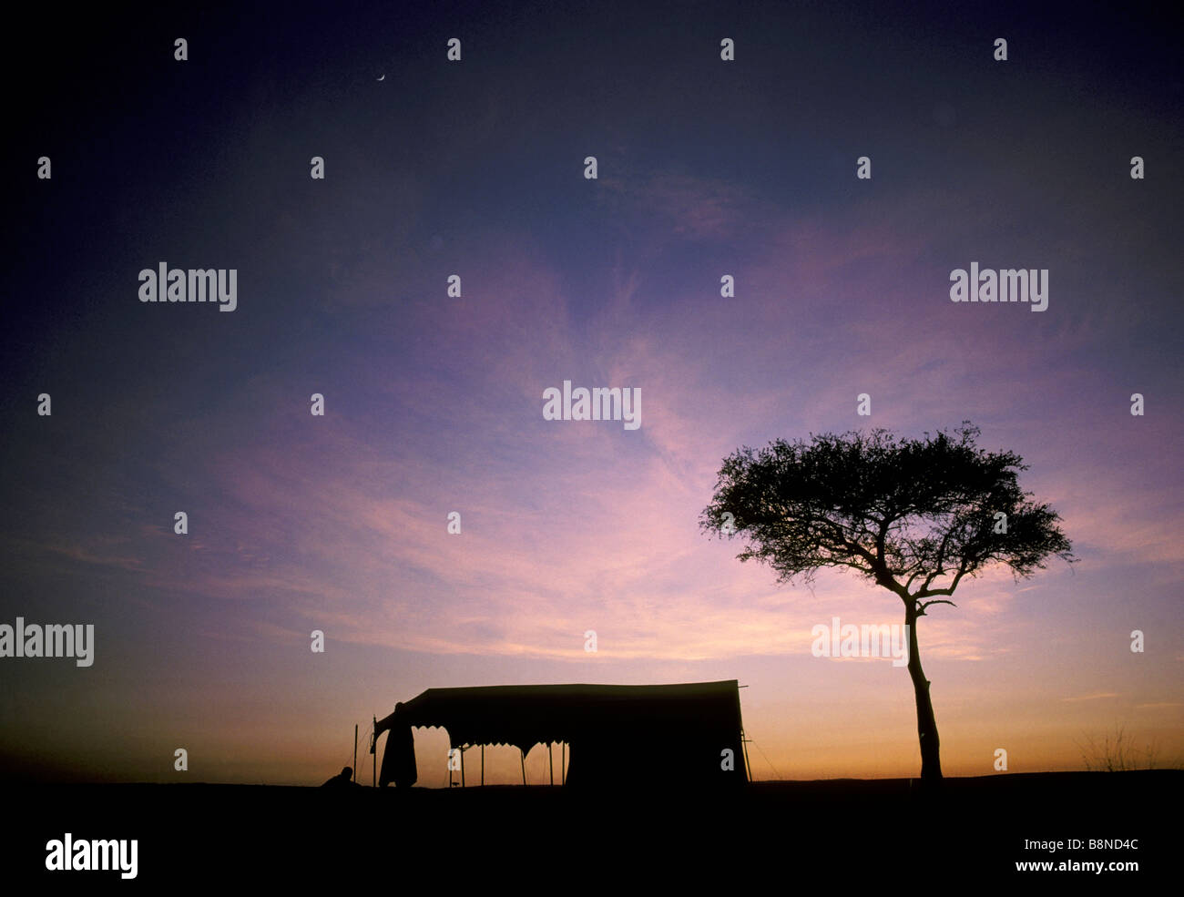 Newland e Tarlton safari camp al crepuscolo Foto Stock