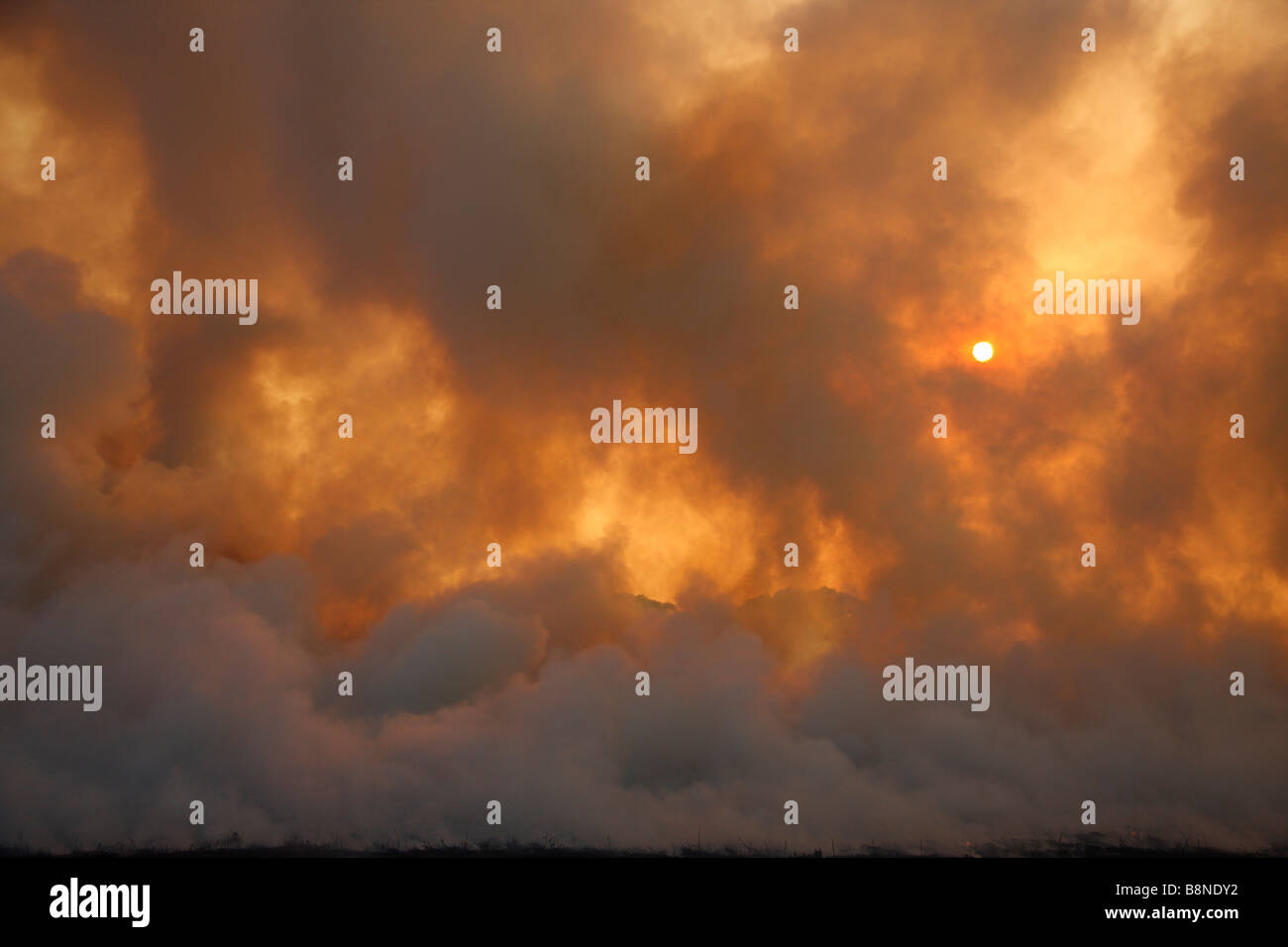 Le dense nubi di fumo grigio durante infuriano veld fire in Tembe Elephant Park Foto Stock