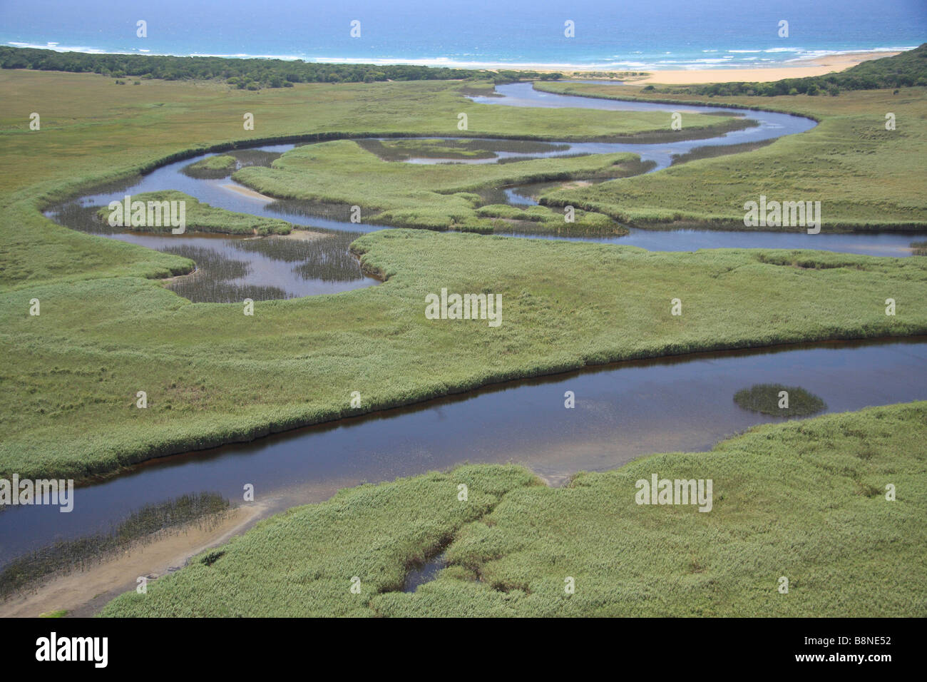 Vista aerea di una marea di palude costiera con canali che attraversano un Phragmites reedbed Foto Stock