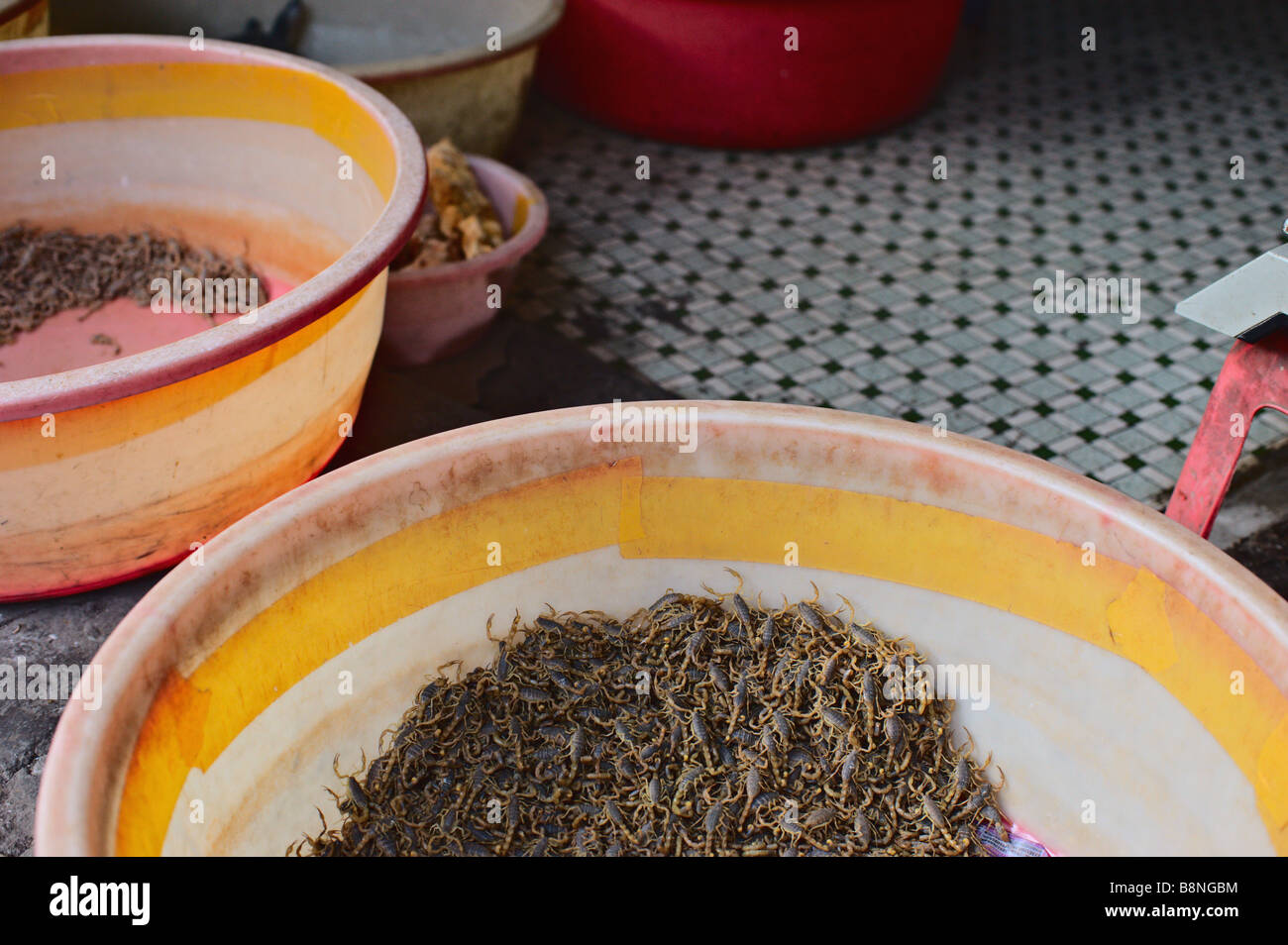 Vasca piena di vivere scorpioni per la vendita su street Guangzhou in Cina Foto Stock