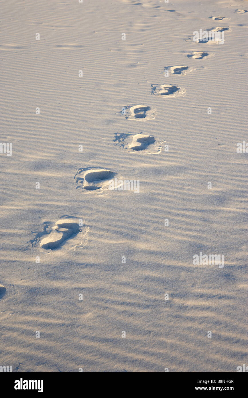 Piedi stampe orme nella sabbia bianca su una spiaggia Robinson Crusoe. L'uomo Venerdì, Daniel Defoe. footprint duna di stampa Foto Stock