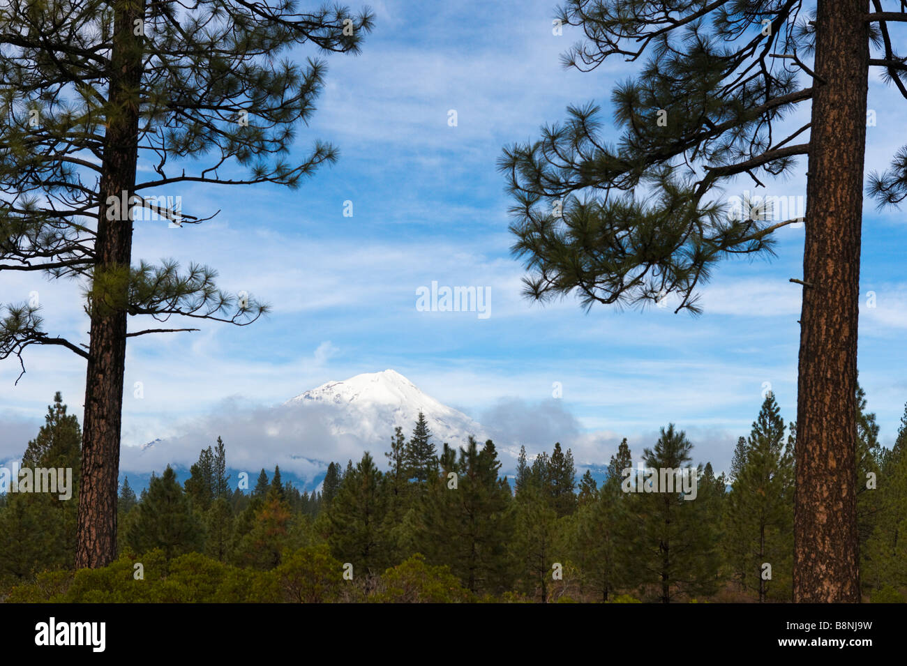 Mount Shasta da SR 89 (CA), Northern California, Stati Uniti d'America Foto Stock