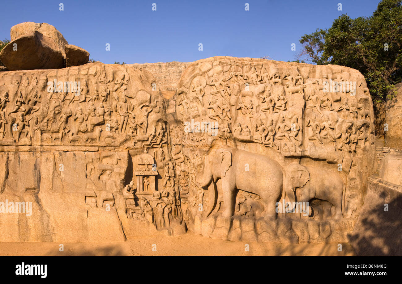 India Tamil Nadu Mamallapuram Arjunas penitenza indù carving rock dal Panchatanra la discesa del Gange Foto Stock