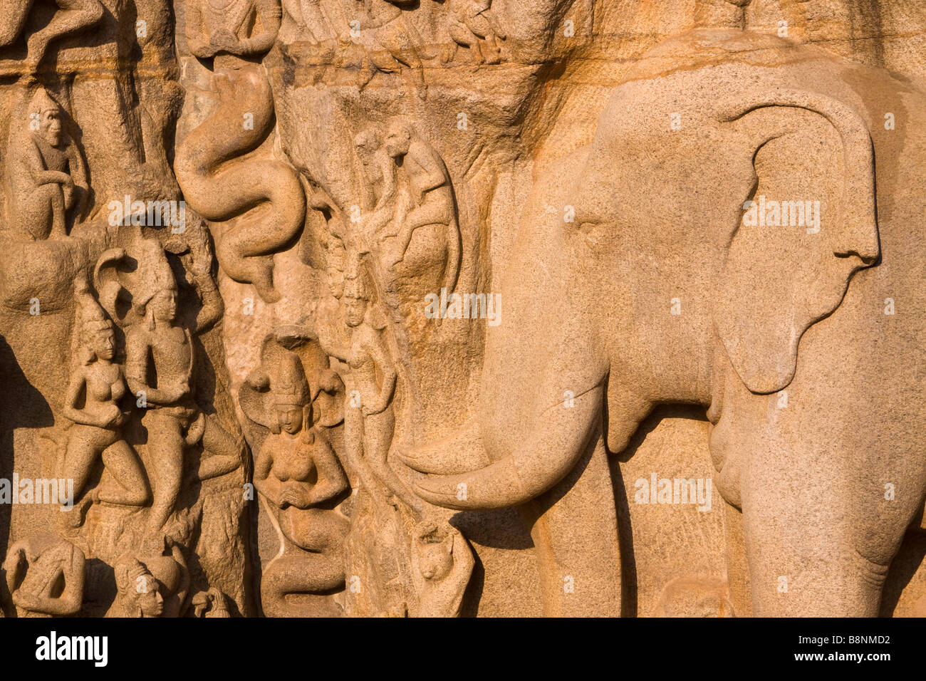 India Tamil Nadu Mamallapuram Arjunas penitenza rock indù carving dettaglio di riparazione da gange nagas Foto Stock