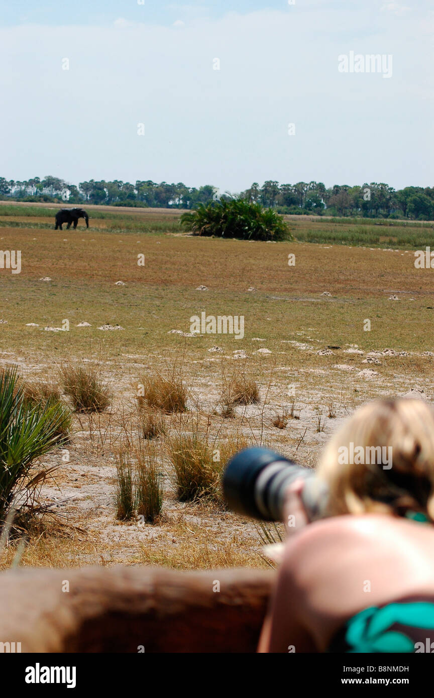 Fotografo femmina scattare foto mentre su Safari Botswana, Sud Africa Foto Stock