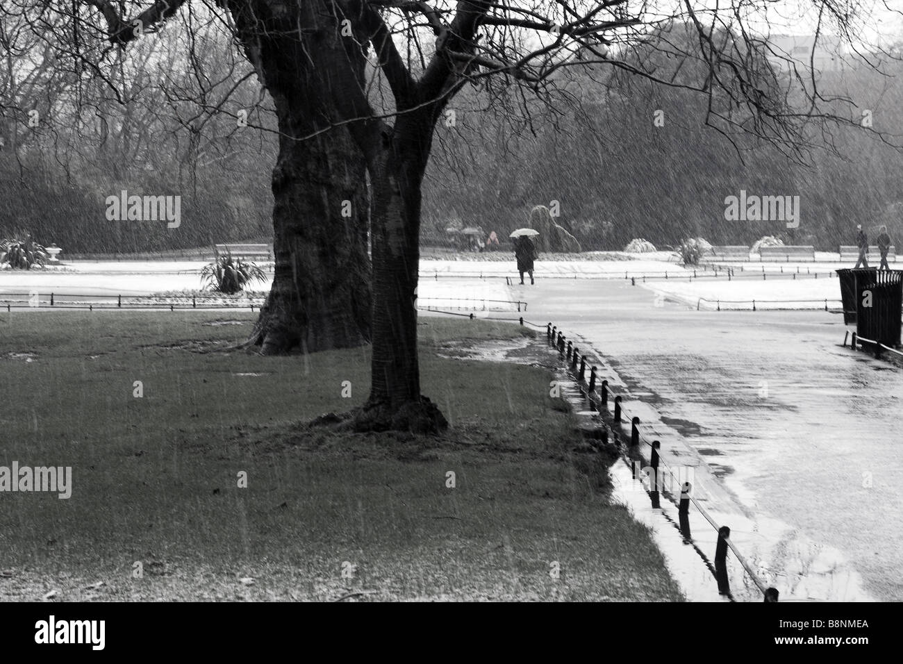 Tempo in inverno St. Stephens' parco verde nel cuore di Dublino Foto Stock