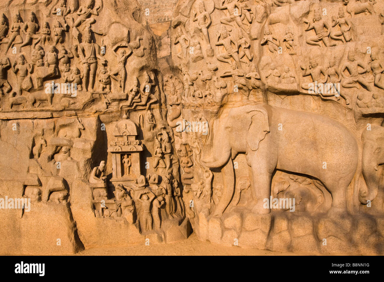 India Tamil Nadu Mamallapuram Arjunas penitenza indù carving rock dal libro antico Panchatanra Foto Stock