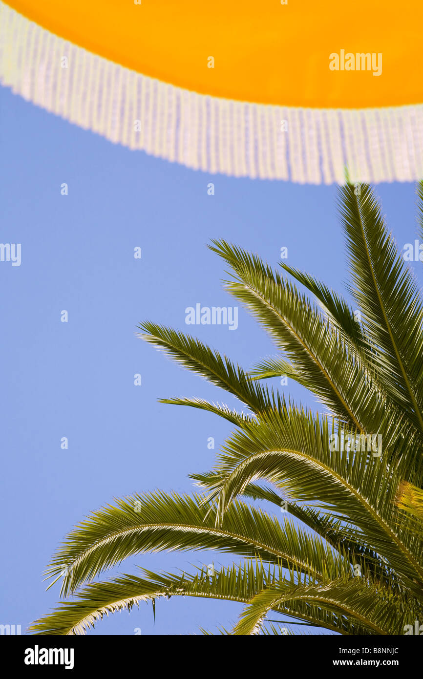 Guardando verso l'alto a giallo ombrelloni con cielo blu e Palm tree dietro. Foto Stock