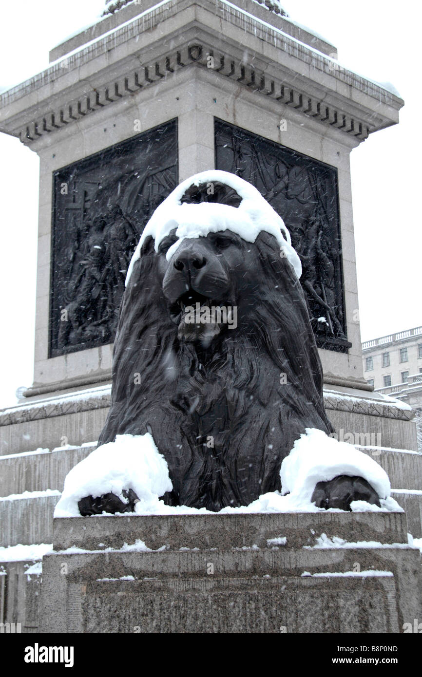 Un Lion coperto di neve a Londra in Trafalgar Square durante il pilotaggio tempesta di neve del 2 febbraio 2009. Foto Stock