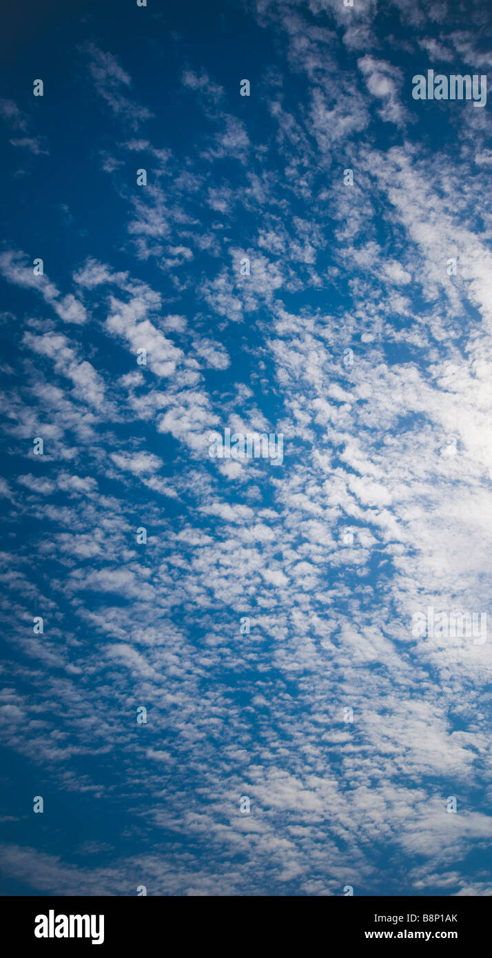 Puffy nuvole che coprono un cielo blu Foto Stock