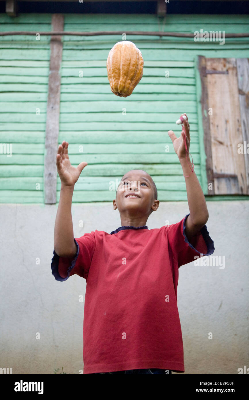 Produzione di cacao, Repubblica Dominicana Foto Stock