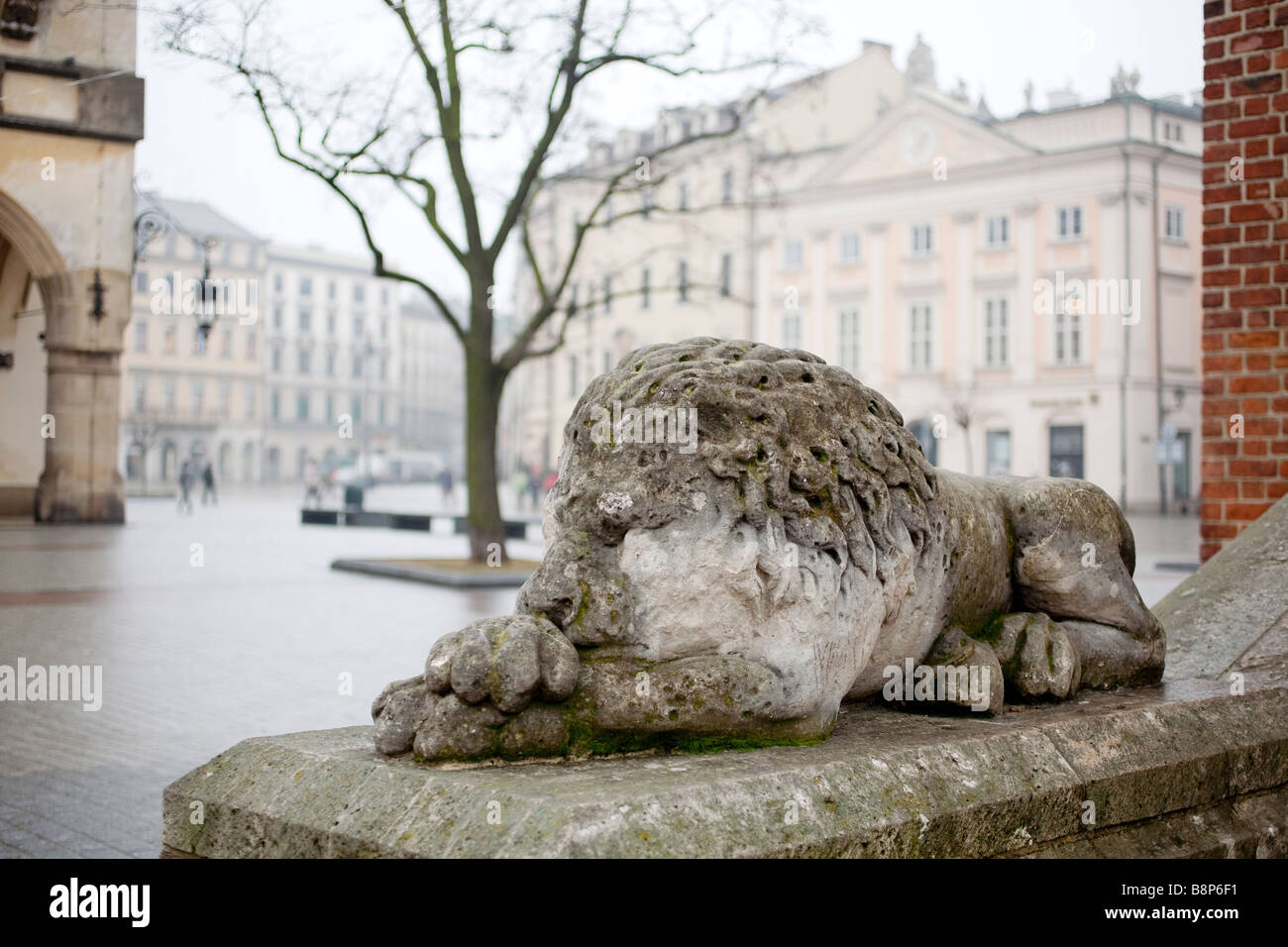 Lion statua alla base della torre del Palazzo Comunale. Rynek Glowny, Cracovia in Polonia Foto Stock