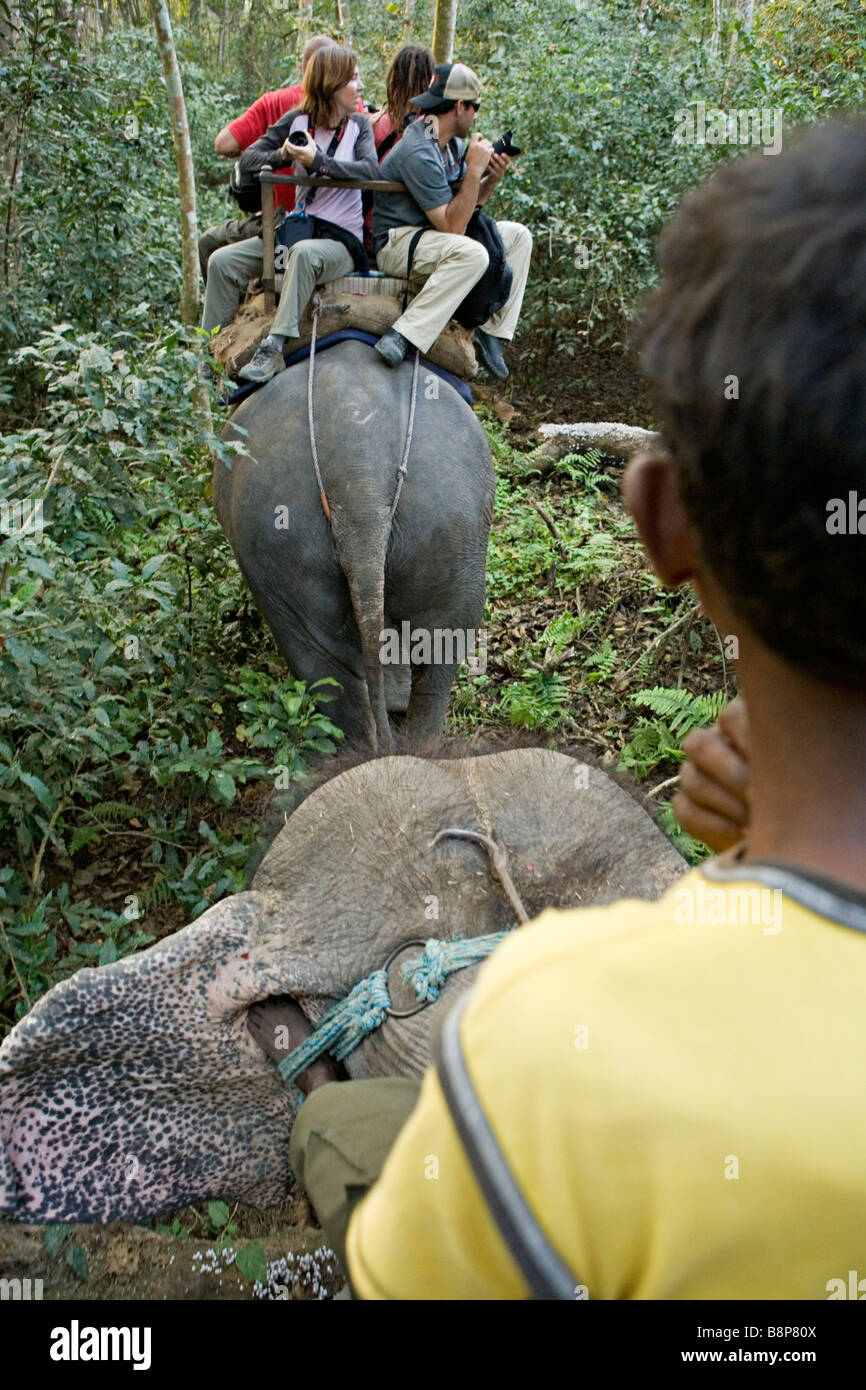 Corse di elefanti sono uno di Chitwan s principali attrazioni nel Parco nazionale di Royal Chitwan Nepal Foto Stock
