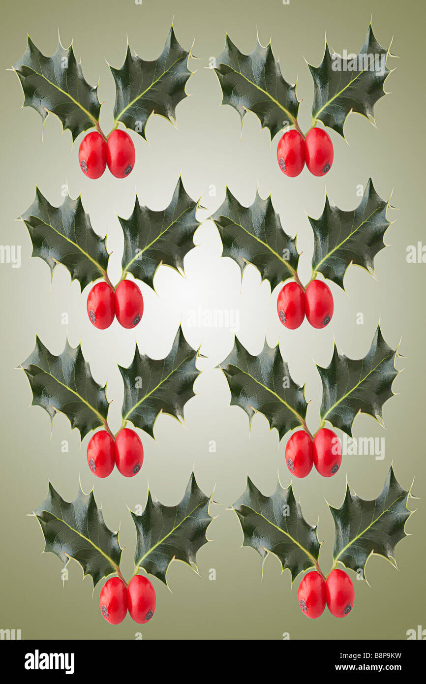 Holly (Llex Aquifolium) Foto Stock