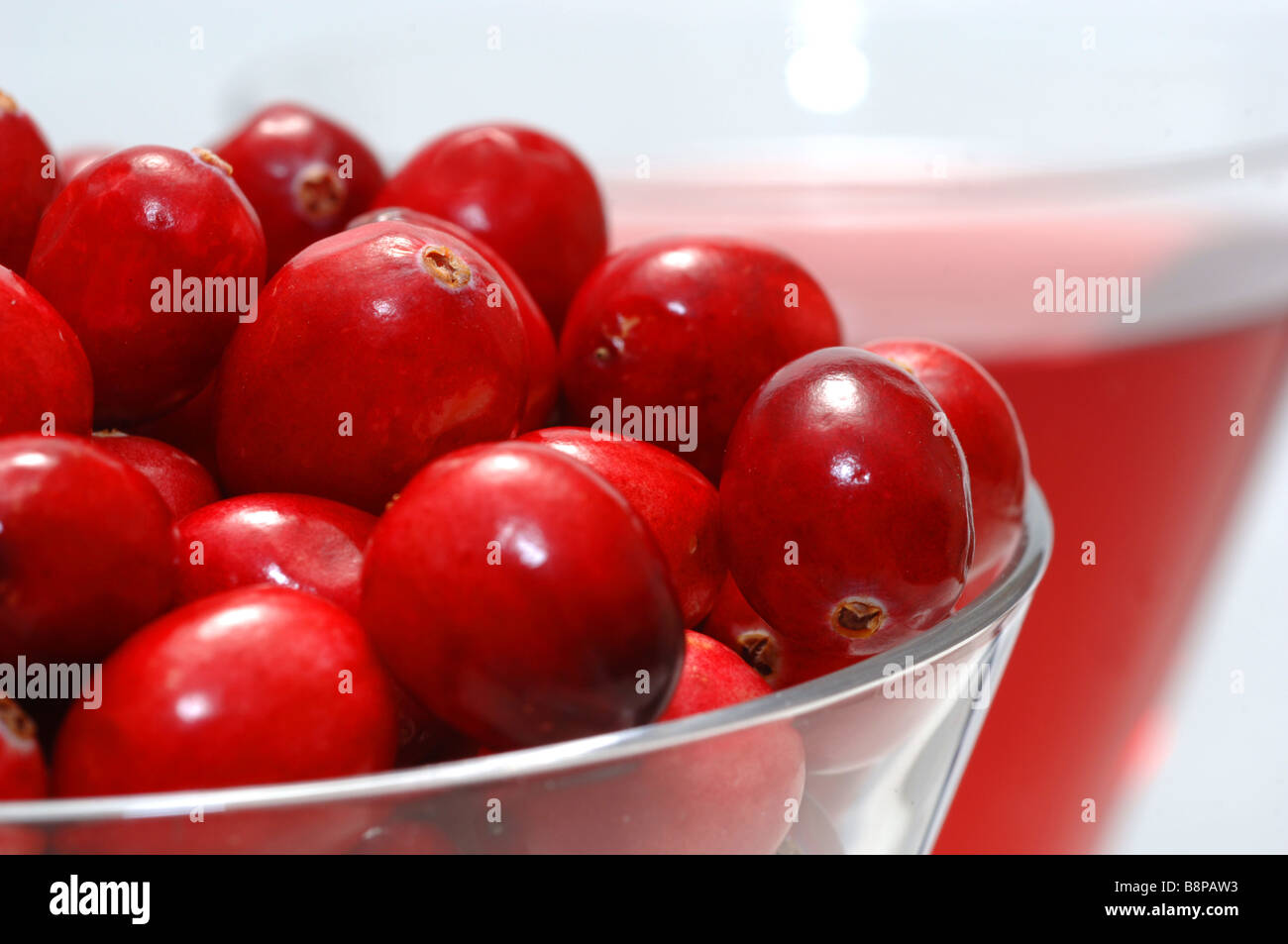 Mirtilli rossi freschi, cranberry Foto Stock