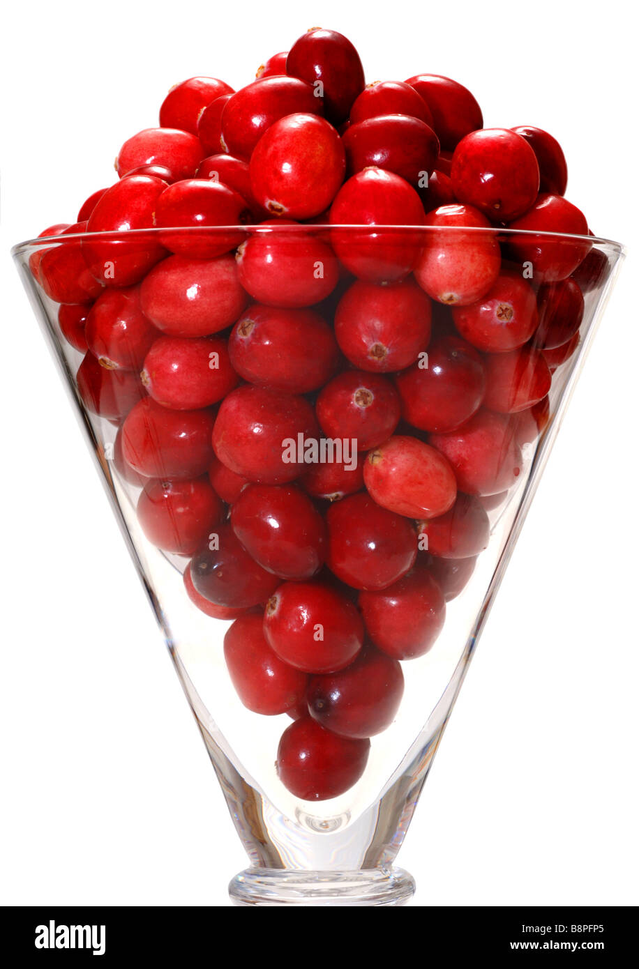 Mirtilli rossi freschi, cranberry, "Sfondo bianco' intaglio "tagliare" Foto Stock