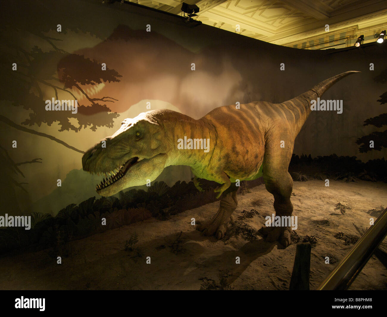 Spostando Tyrannosaurus Rex lifesize modello nel Museo di Storia Naturale di Londra REGNO UNITO Foto Stock