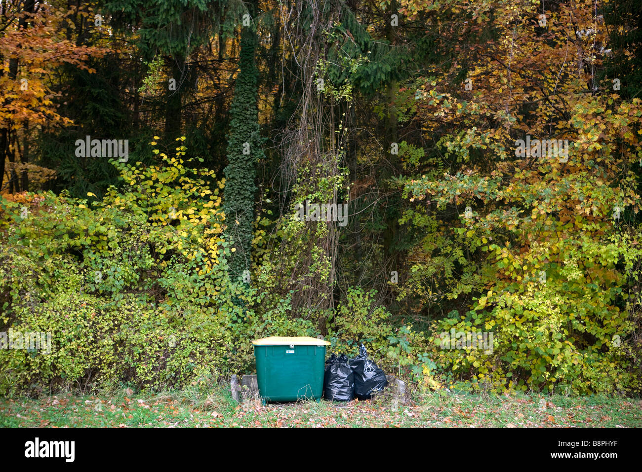 Sacchi della spazzatura e il compost bin nel paesaggio boscoso Foto Stock