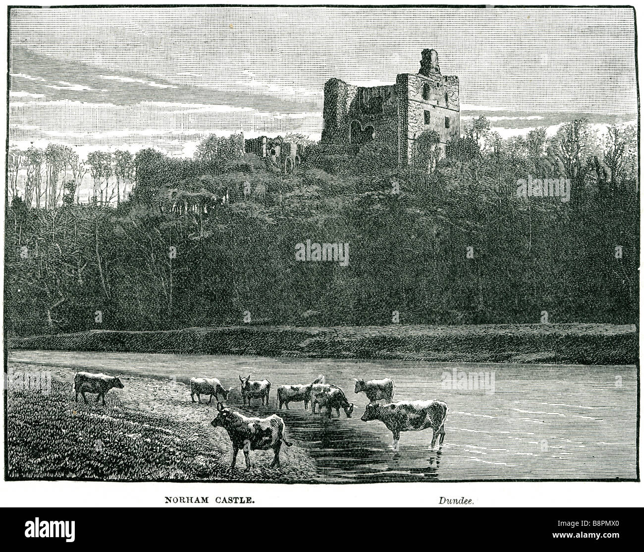 Norham Castle è in parte un castello in rovina in Northumberland, Inghilterra, e si affaccia sul fiume Tweed, sul confine tra Inghilterra un Foto Stock