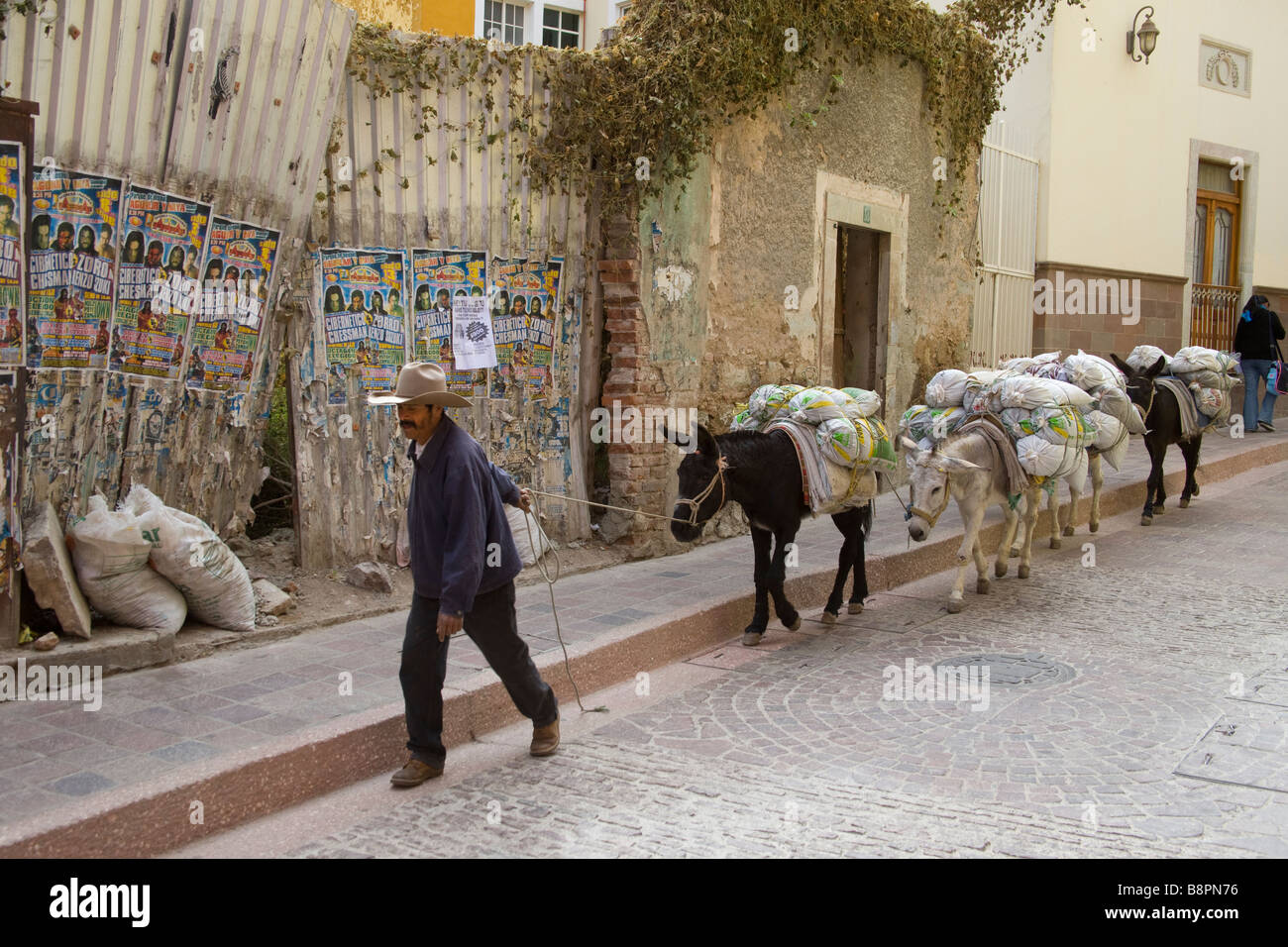 Cemento Deliverng da asino in Guanajuato, Messico Foto Stock