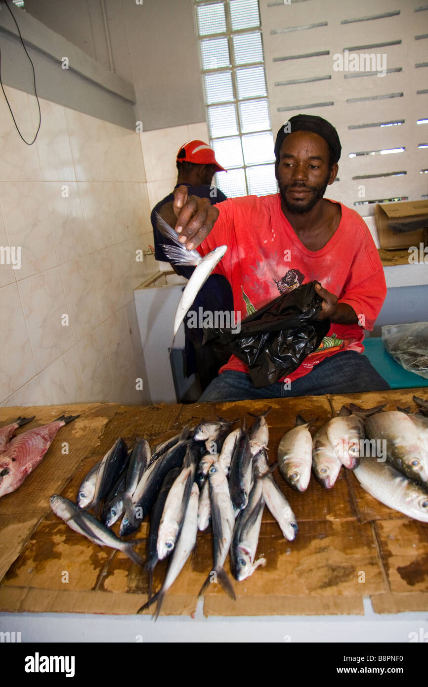 Pescivendoli vendono pesci volanti Castries mercato, Castries, Santa Lucia Foto Stock