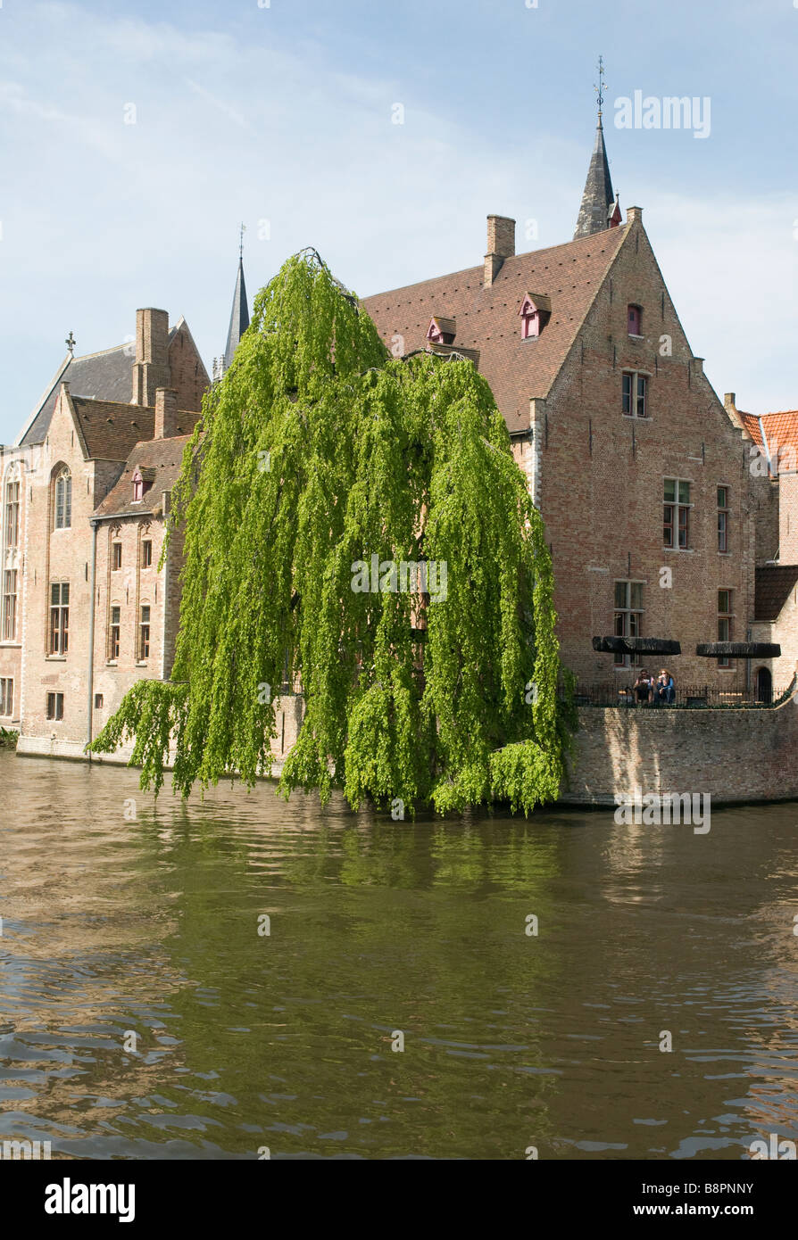 Edificio da canal Bruges Belgio Foto Stock